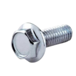 Hex Flange Bolts